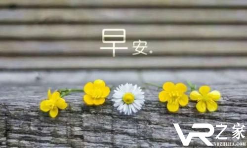 简洁的早安朋友圈文案