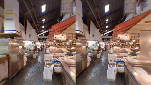 Experience Japan VR(1)