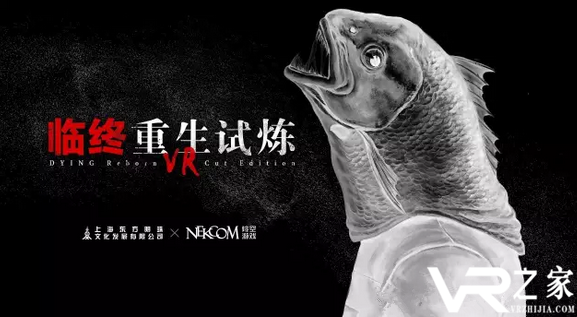 临终：重生试炼VR(1)