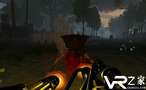 Blackwater Bayou VR(1)