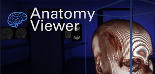 身体VR:解剖观察者