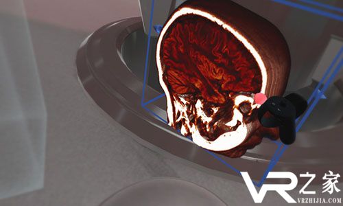 身体VR:解剖观察者(3)