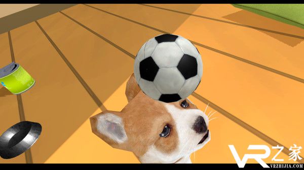 小狗组合VR(3)