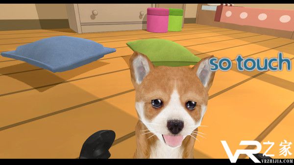 小狗组合VR(2)