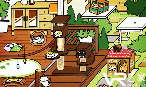 猫咪后院VR(3)