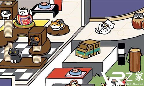 猫咪后院VR(1)