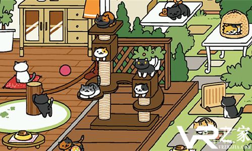 猫咪后院VR(2)