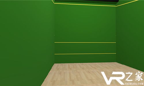 壁球VR 2017(2)
