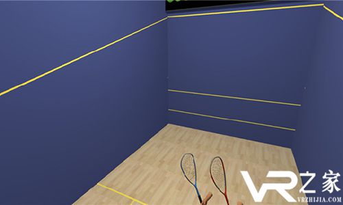 壁球VR 2017(1)