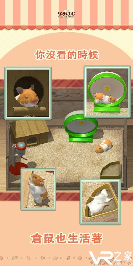 我的仓鼠无敌版(2)