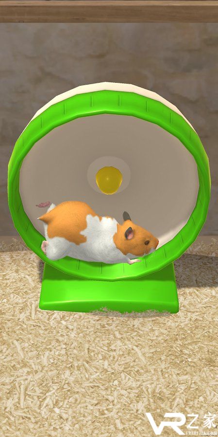 我的仓鼠无敌版(1)