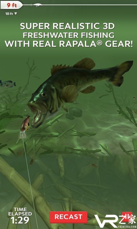 职业钓鱼每日捕捞(2)