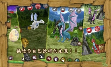 龙宠物佐贺无敌版(2)