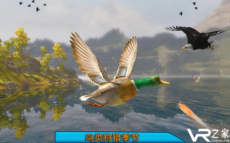 沙漠鸟类狙击手(1)