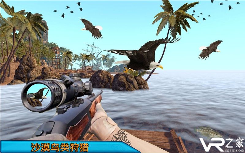 沙漠鸟类狙击手(2)