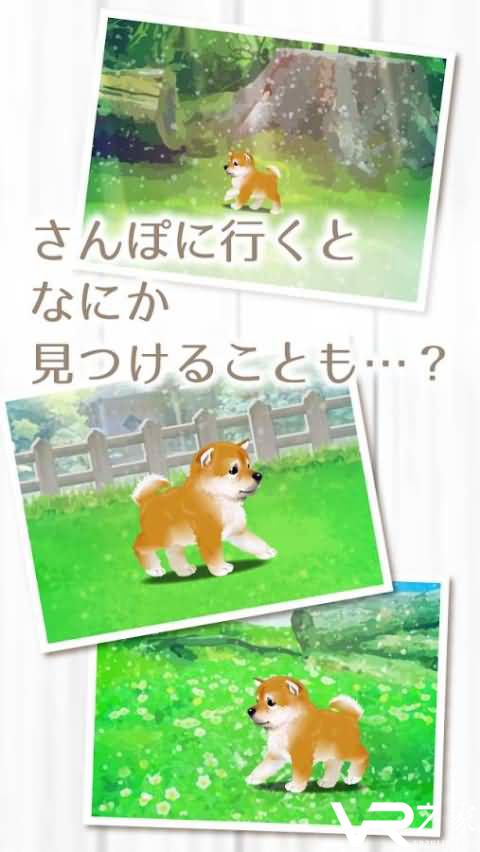 治愈系柴犬育成(3)