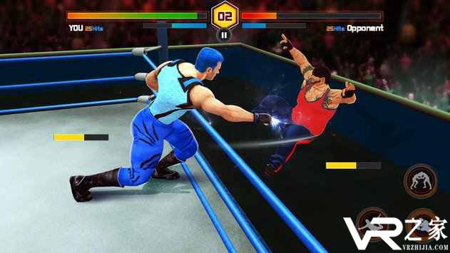 狂热摔跤世界无敌版(2)