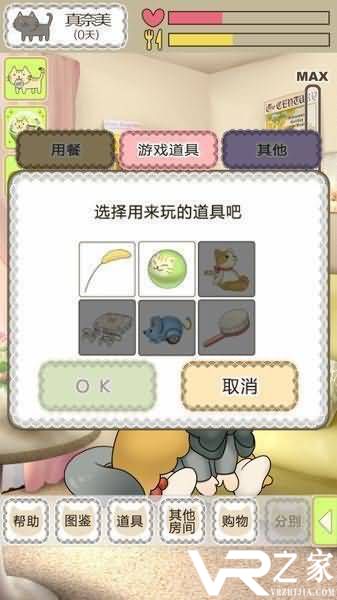 我家不可思议的猫(2)