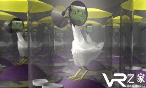 VR也能养鸡？VR界的新技术！