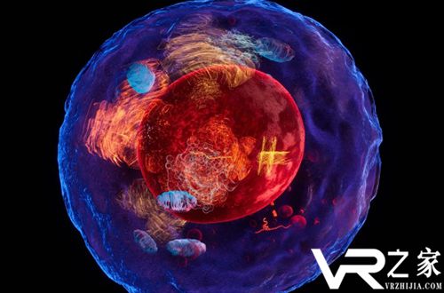 HTC VIVE推出2017诺贝尔生理学或医学奖获奖成果VR体验.jpg