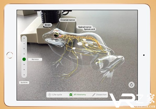 Apple计划推出新款ipad：欲将AR技术引入课堂.png