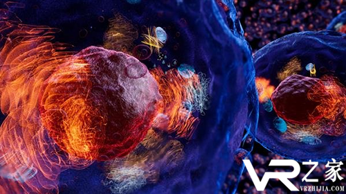 诺贝尔医学奖研究成果VR体验《昼夜节律》现已登陆VIVEPORT