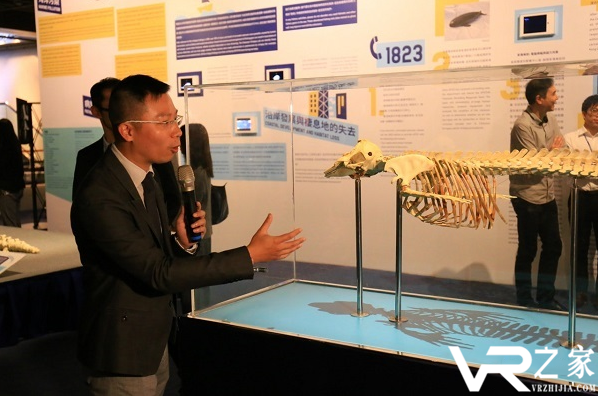 香港展览用VR游戏呼吁保护海洋