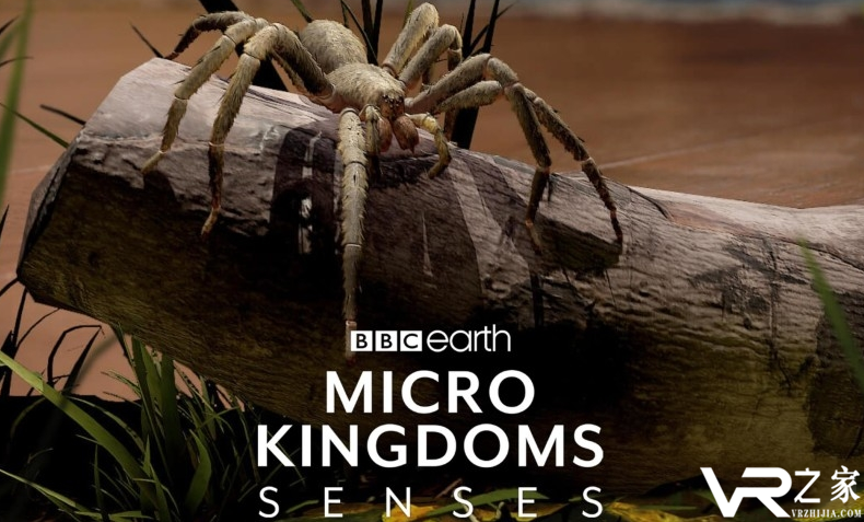 BBC AR应用《昆虫世界》正式登陆Magic Leap.png