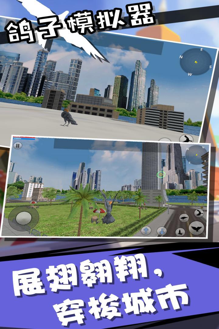 鸽子模拟器(2)