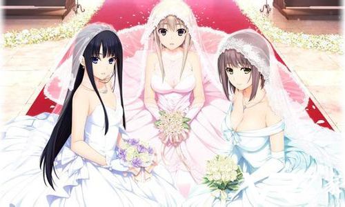 为了挽回流失的玩家，hibiki想用虚拟女友举办一场VR婚礼