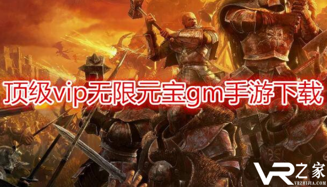 满级vip无限元宝gm手游