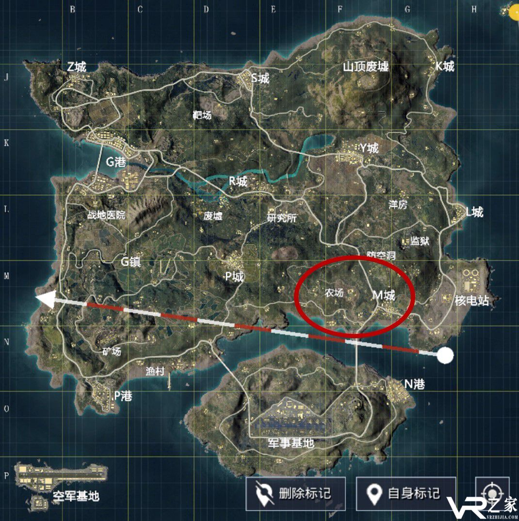 d1.jpg