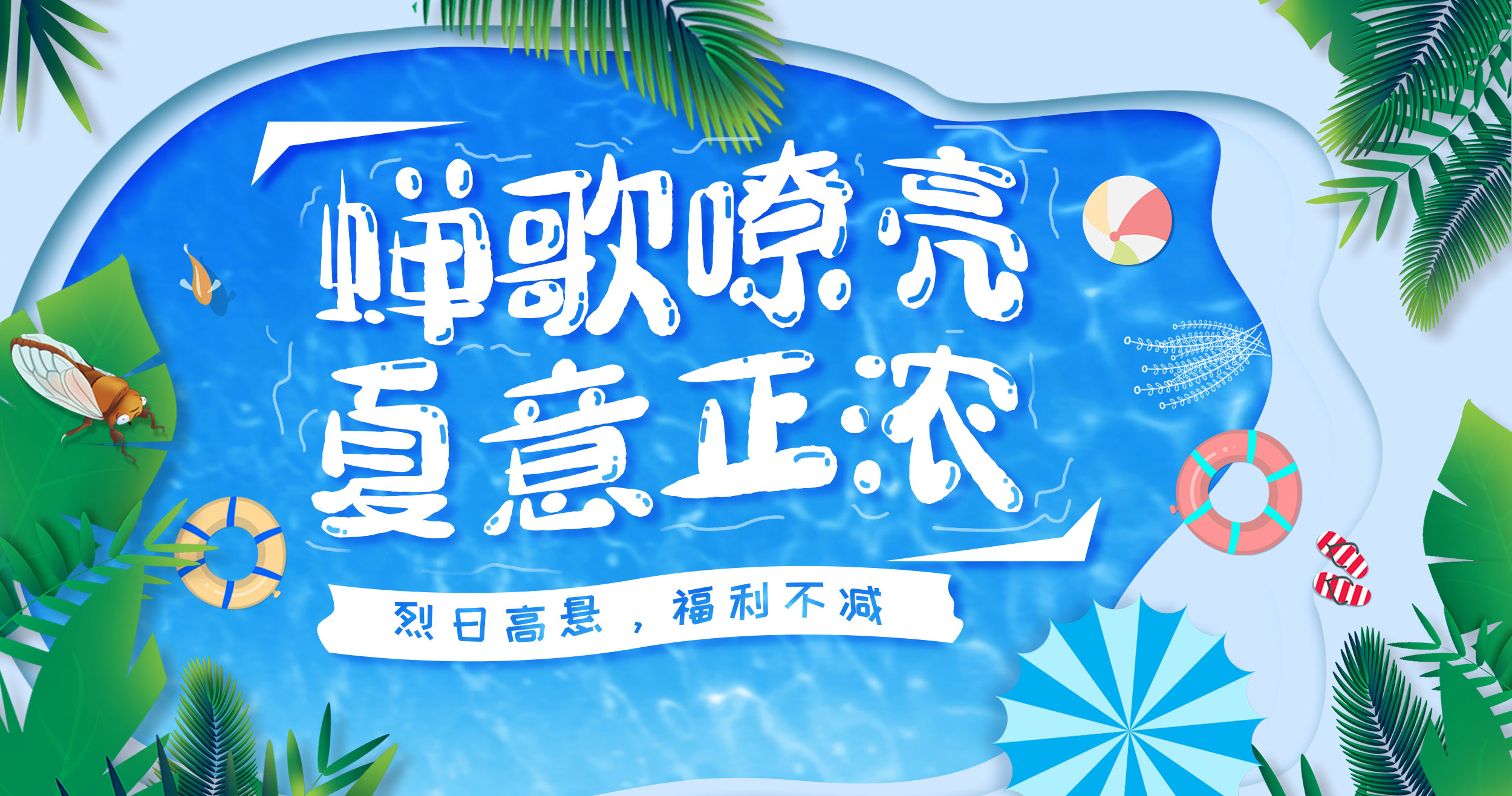 蝉歌嘹亮 夏意正浓