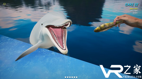 VR模拟游戏海豚训练师VR