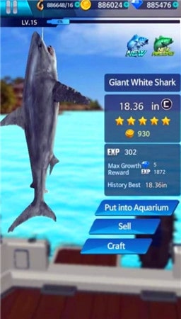 钓鱼冠军破解版(3)