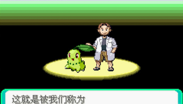 口袋妖怪无限大师球版破解版(3)