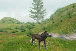 模拟动物人生无敌版(1)