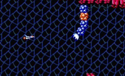 沙罗曼蛇无敌版(1)