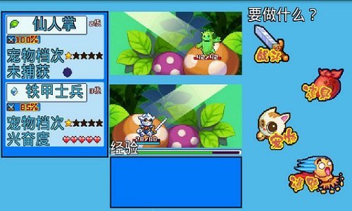 宠物王国5彩虹破解版(2)