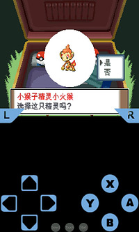 口袋妖怪白金破解版(3)