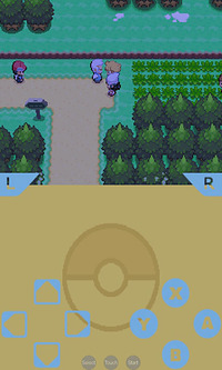 口袋妖怪白金破解版(1)