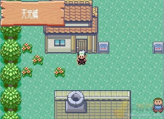 口袋妖怪绿宝石金手指(2)