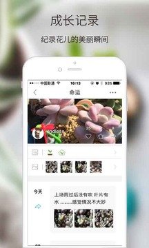 绿手指截图 (5)