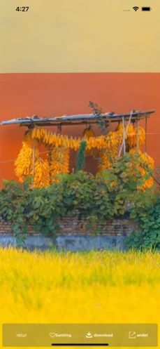 日常精彩壁纸(2)