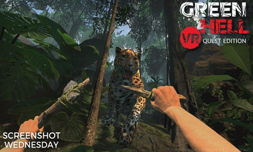 VR生存游戏《Green Hell VR》登陆Quest2平台