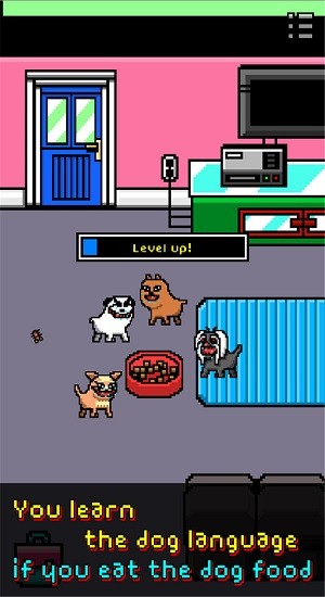 我变成了一只狗(1)