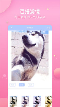 容颜美咖相机(4)