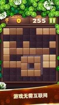 木块拼图大师版(1)