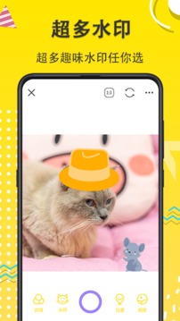 宠物动漫相机(1)