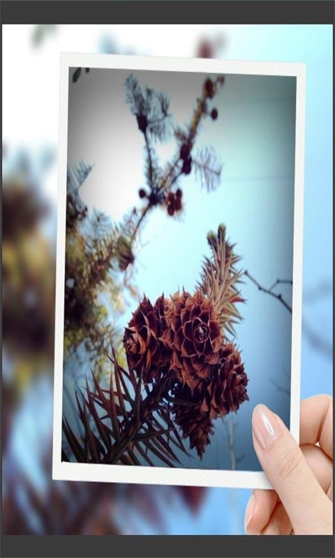 趣拍玩图照相机(1)